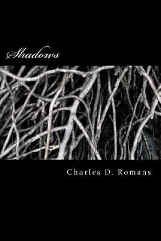 Buch Shadows Charles D Romans