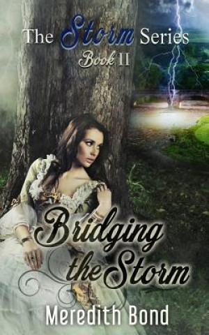 Kniha Bridging the Storm Meredith Bond