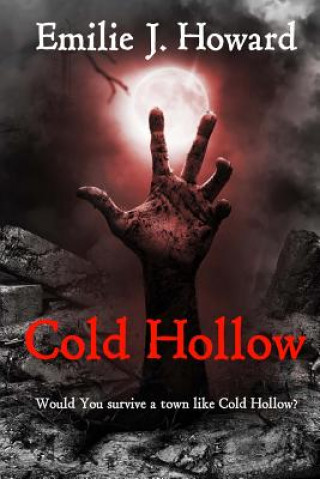 Kniha Cold Hollow Emilie J Howard