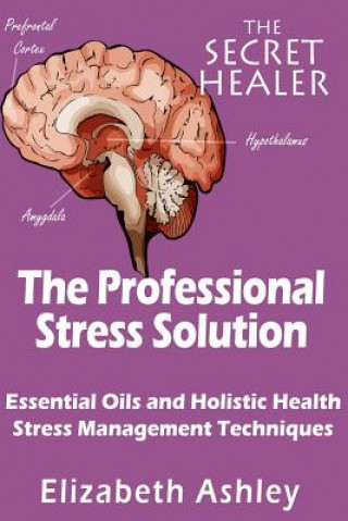 Книга The Professional Stress Solutution: Essential Oils and Holistic Health Stress Management Techniques Mrs Elizabeth Ashley