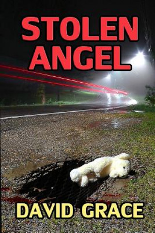 Könyv Stolen Angel David Grace