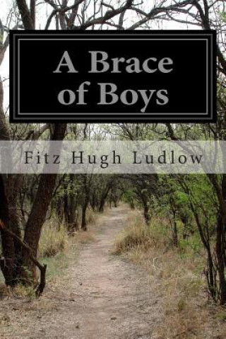 Książka A Brace of Boys Fitz Hugh Ludlow