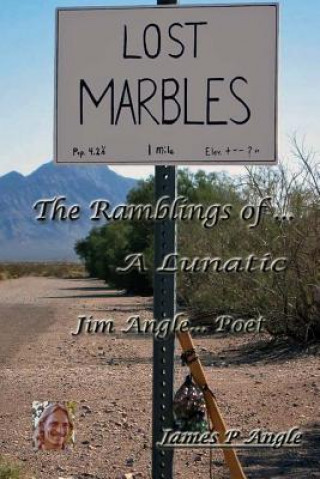 Könyv Lost Marbles; The Ramblings of a Lunatic James P Angle