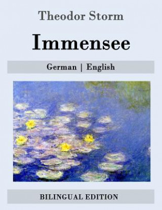 Kniha Immensee: German - English Theodor Storm