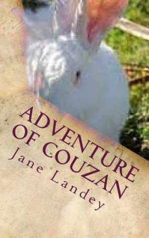 Kniha Adventure of Couzan: Chinese Version Jane Landey