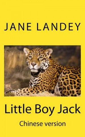 Kniha Little Boy Jack: Chinese Version Jane Landey