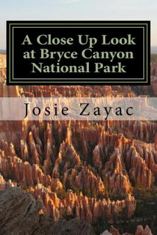 Kniha A Close Up Look at Bryce Canyon National Park Josie Zayac