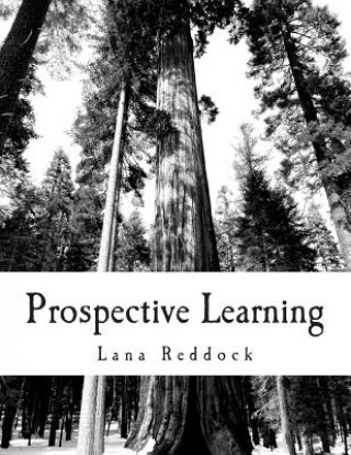 Knjiga Prospective Learning: Application Functionalities Lana T Reddock M Ed