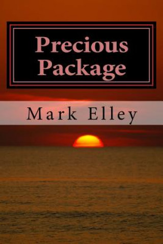 Kniha Precious Package: A John Doyle Mystery Mark Elley