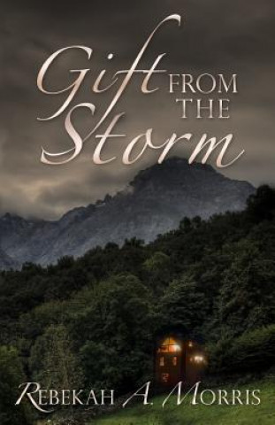 Buch Gift from the Storm Rebekah A Morris