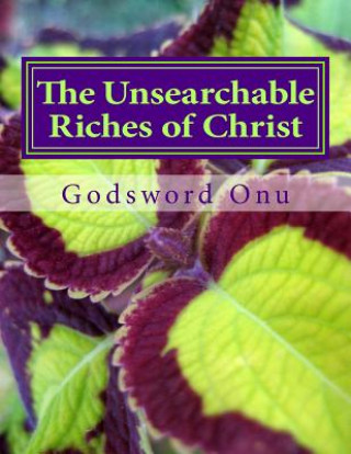 Könyv The Unsearchable Riches of Christ: Understanding the Great Treasure We Have Apst Godsword Godswill Onu