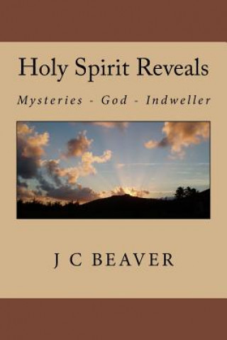 Kniha Holy Spirit Reveals: Traditions, Mysteries, Salvation, Trinity, Seals, Sanctification, Indwelling J C Beaver