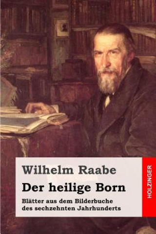 Carte Der heilige Born: Blätter aus dem Bilderbuche des sechzehnten Jahrhunderts Wilhelm Raabe