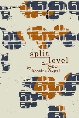 Kniha Split-level Pomes Rosaire Appel