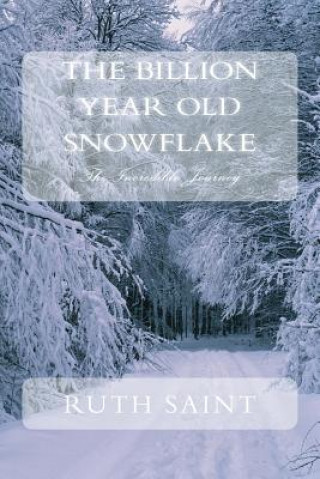 Книга The Billion Year Old Snowflake: The Incredible Journey Ruth W Saint