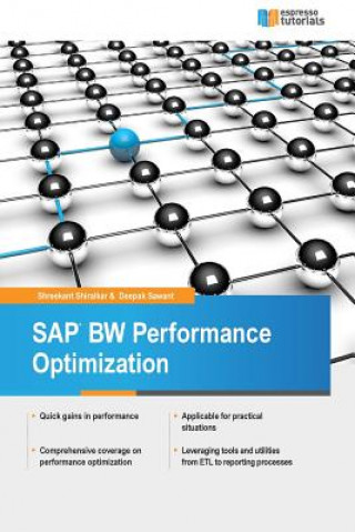 Könyv SAP BW Performance Optimization Deepak Sawant