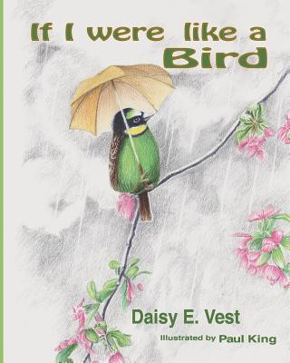 Kniha If I Were Like A Bird Daisy E Vest