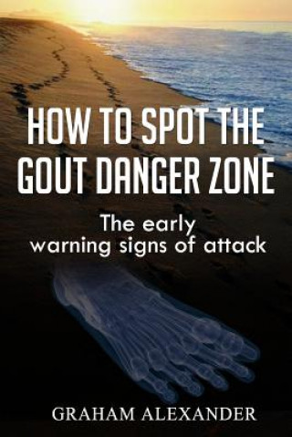 Kniha How To Spot The Gout Danger Zone: The early warning signs of attack Graham Alexander