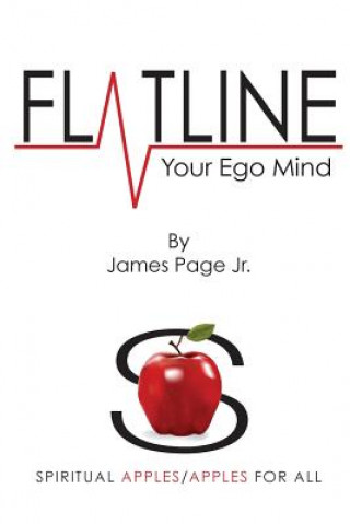 Boek Flatline Your Ego Mind James Page