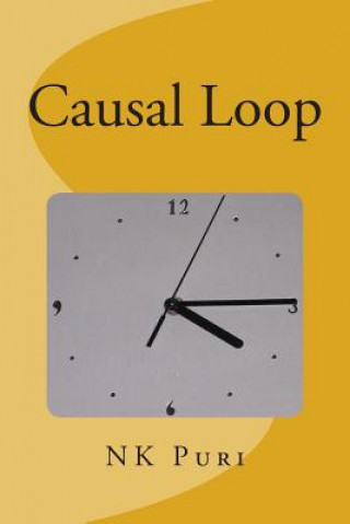 Knjiga Causal Loop N K Puri