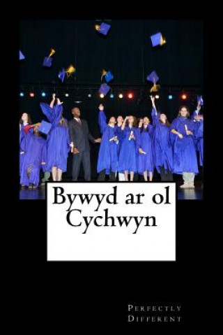 Kniha Bywyd ar ol Cychwyn Perfectly Different