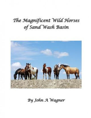 Carte The Magnificent Wild Mustangs Of Sand Wash Basin John A Wagner