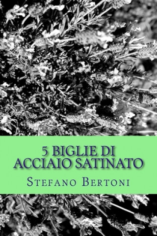 Książka 5 Biglie di acciaio satinato Stefano Bertoni MR