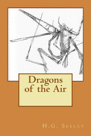 Kniha Dragons of the Air H G Seeley