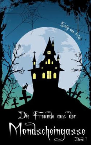 Buch Die Freunde aus der Mondscheingasse Emily Van Hill