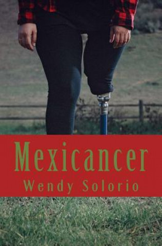 Knjiga Mexicancer Wendy Solorio