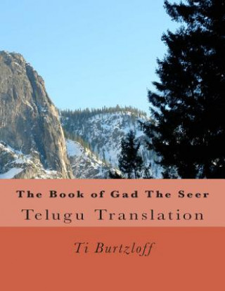 Könyv The Book of Gad the Seer: Telugu Translation Ti Burtzloff