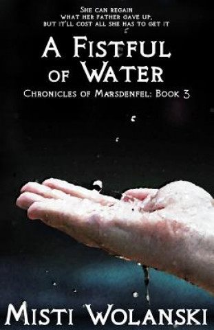 Kniha A Fistful of Water Misti Wolanski