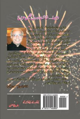 Book Kuch Likh Na Sakay Kuch Likh Bhi Gaye MR Shamaul/S Hasan/H Jafarey/J Shj