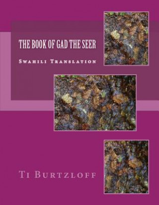 Kniha The Book of Gad the Seer: Swahili Translation Ti Burtzloff