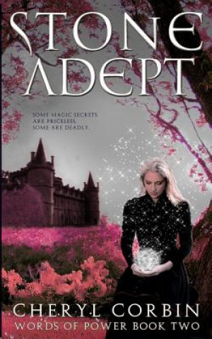 Knjiga Stone Adept Cheryl Corbin