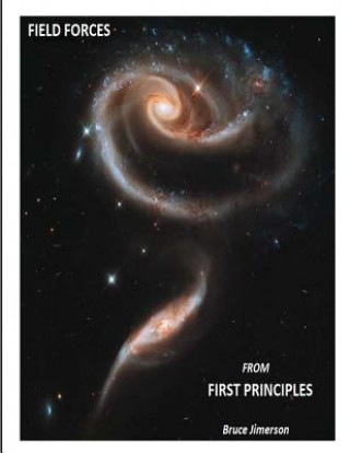Knjiga Field Forces from First Principles Dr Bruce D Jimerson