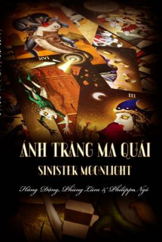 Könyv Sinister Moonlight: Guide for Tarot Beginner Hang Dang
