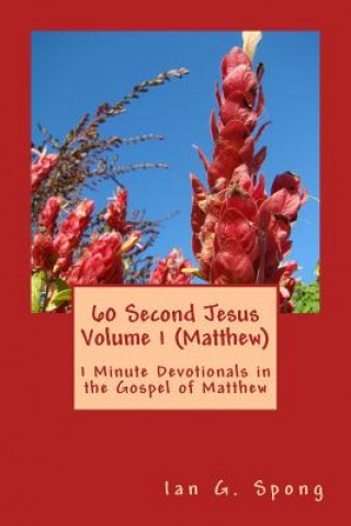 Könyv 60 Second Jesus Volume 1 (Matthew): 1 Minute Devotionals in the Gospel of Matthew Ian Grant Spong