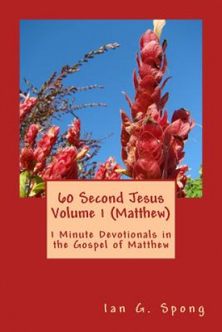 Libro 60 Second Jesus Volume 1 (Matthew): 1 Minute Devotionals in the Gospel of Matthew Ian Grant Spong