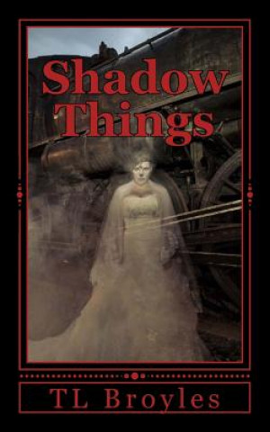 Kniha Shadow Things T L Broyles
