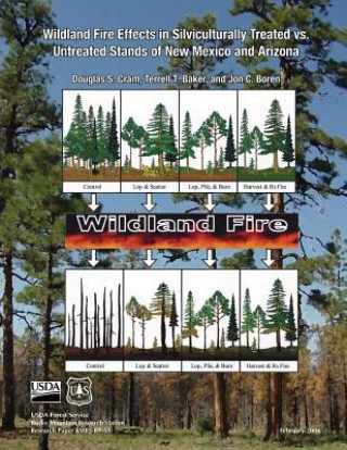 Boek Wildlife Fire Effects in Silviculturally Treated vs Untreated Stands of New Mexico and Arizona Usda Forest Service