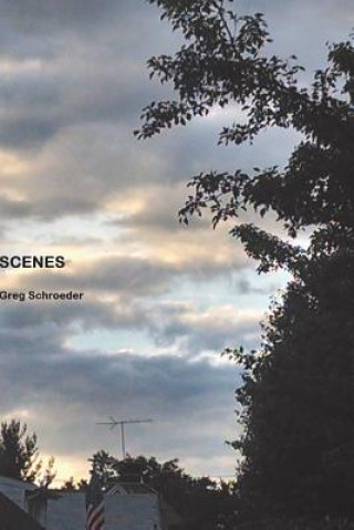 Knjiga Scenes Gregory Schroeder