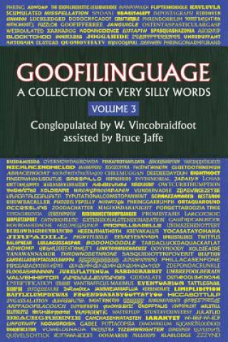 Kniha Goofilinguage Volume 3 - A Collection of Very Silly Words Bruce Jaffe