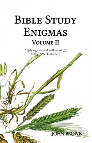 Kniha Bible Study Enigmas, Volume II: Applying cultural anthropology to the New Testament MR John L Brown