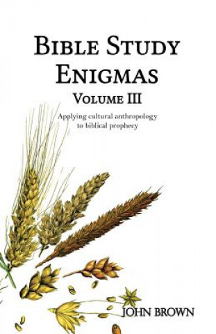 Kniha Bible Study Enigmas, Volume III: Applying cultural anthropology to biblical prophecy MR John L Brown