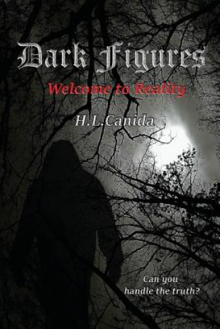 Kniha Dark Figures: Welcome to Reality Heather Canida