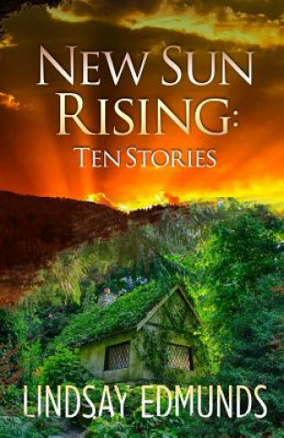 Buch New Sun Rising: Ten Stories Lindsay Edmunds