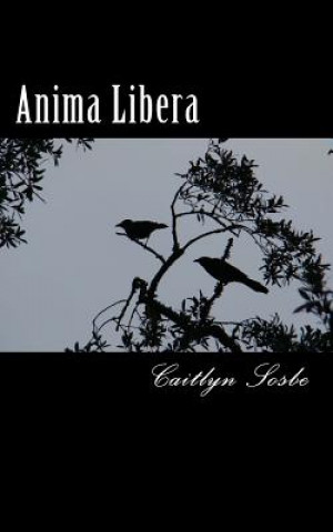 Книга Anima Libera Caitlyn Sosbe