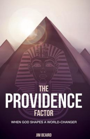 Carte The Providence Factor: When God Shapes a World-Changer Dr Jim Beaird