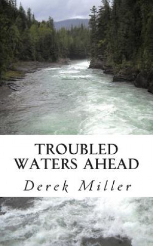 Kniha Troubled Waters Ahead Derek Miller